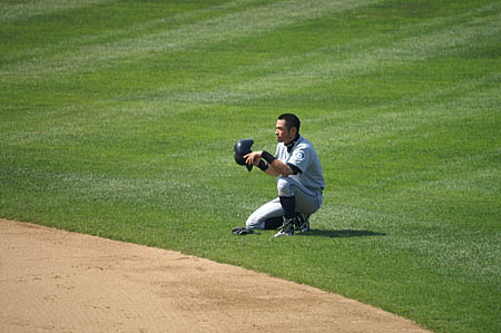 - Wrigley Field #3 -