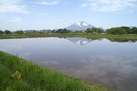 ― 国道4号沿いから ―