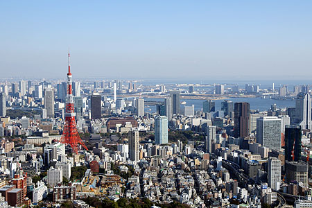 ― 東京タワーが他の建物に埋もれて目立たない ―