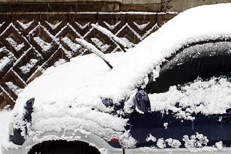 ― 雪に埋まってるよ ―